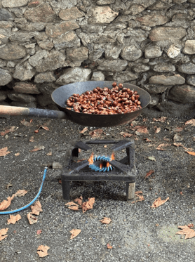 Le castagne