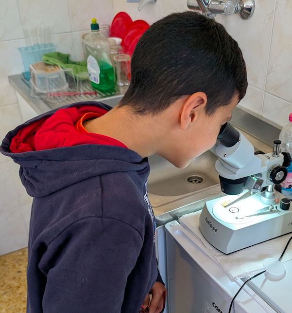 Attività scientifica (2)