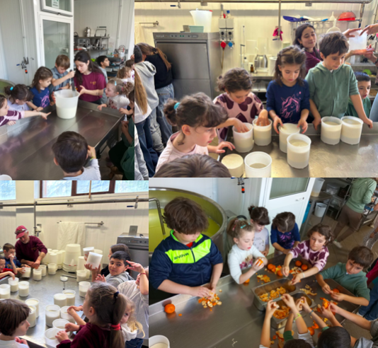 Laboratorio di produzione del formaggio e del gelato