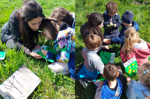Piccoli esploratori nel prato