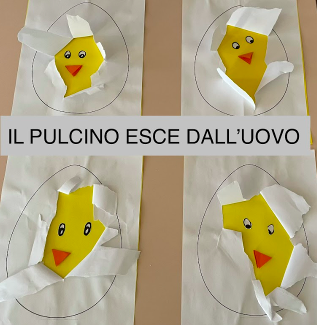 Il pulcino