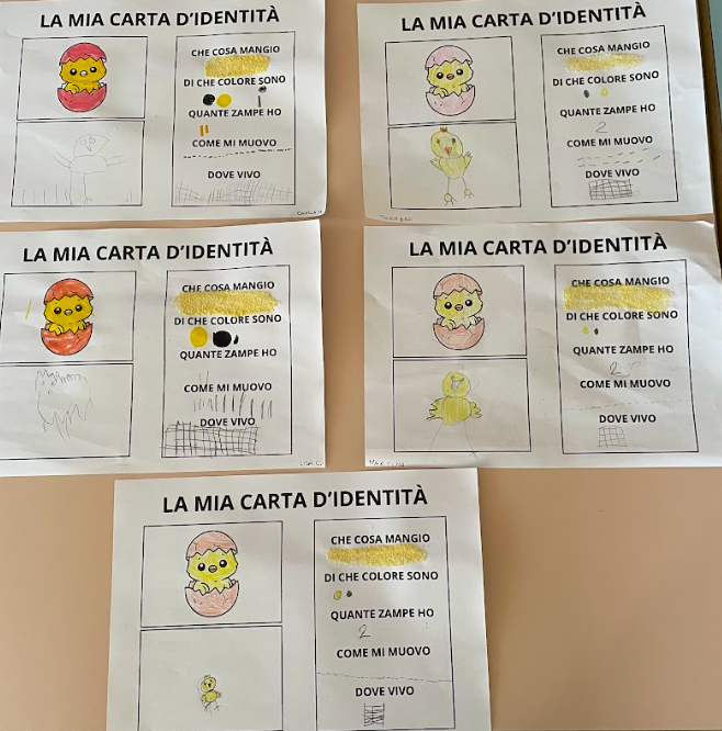 La carta d'identità del pulcino