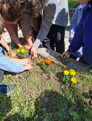 Piantiamo i fiori (3)