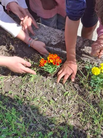 Piantiamo i fiori (6)