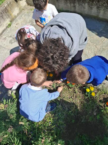 Piantiamo i fiori (4)